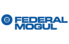 Federal-Mogul-1.png